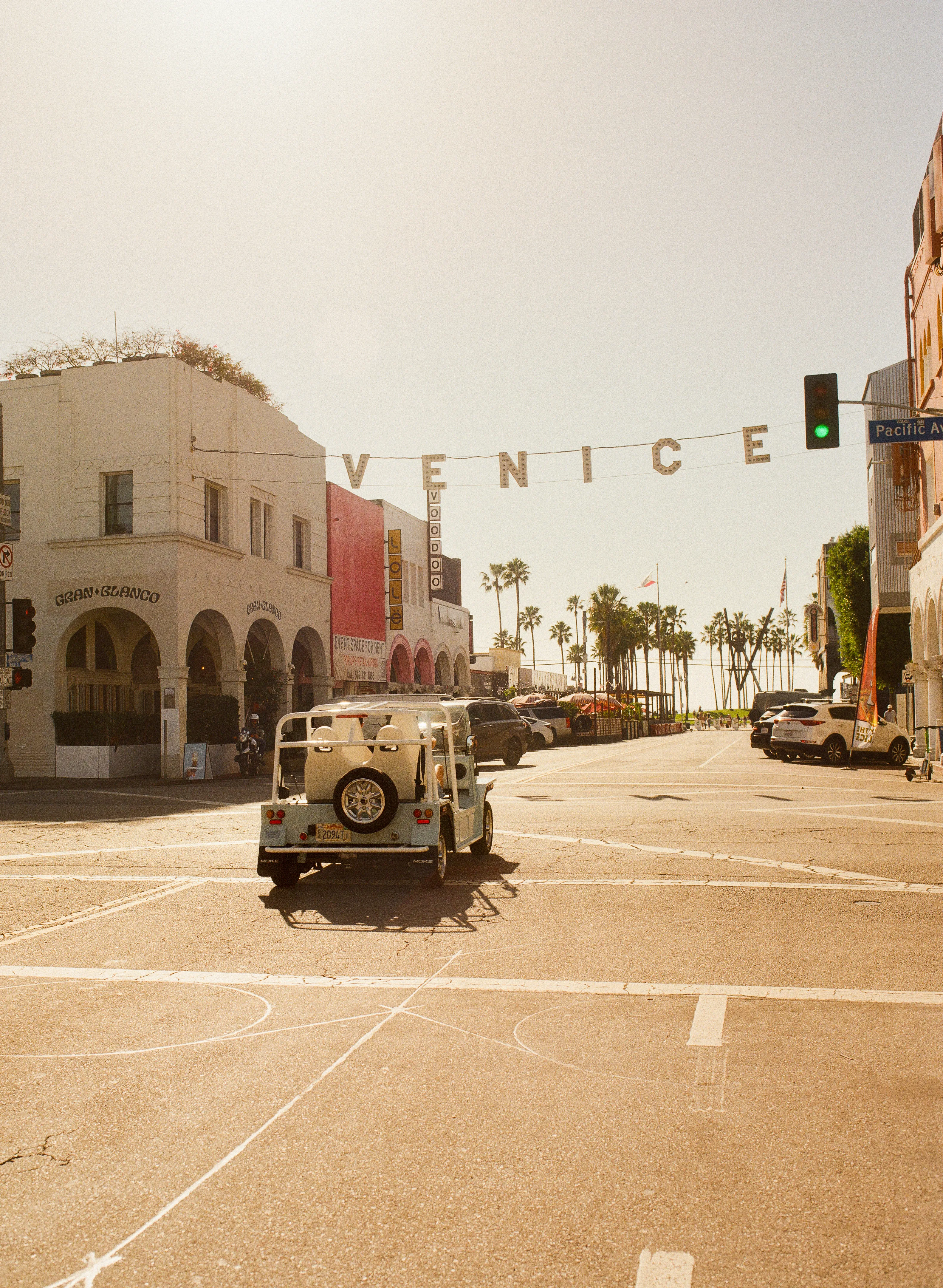 Moke detail shot showing the iconic silhouette